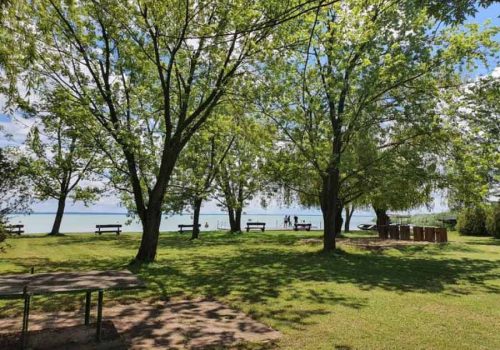 Árnyékot adó fák